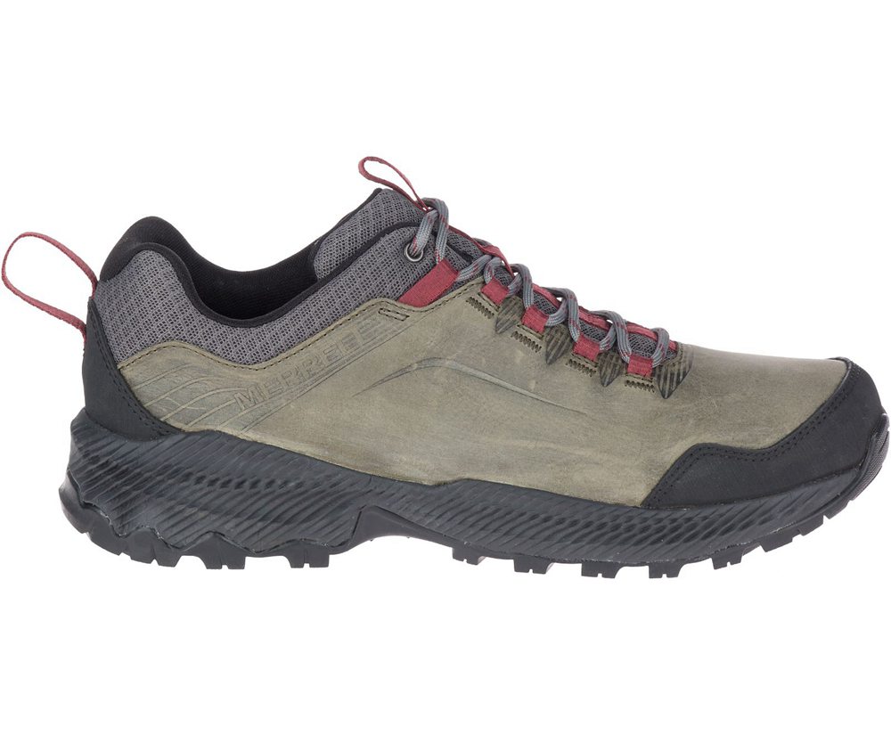 Merrell Hiking Shoes Olive/Black - Forestbound - Mens 73ULKCMWY